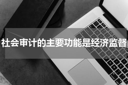 社会审计的主要功能是经济监督