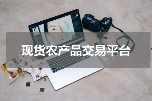 现货农产品交易平台