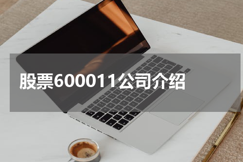 股票600011公司介绍