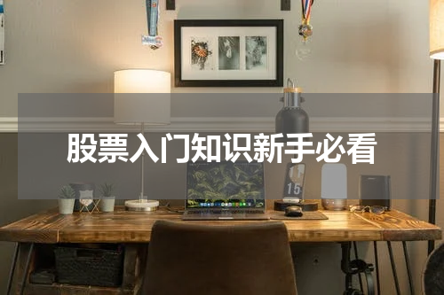 股票入门知识新手必看