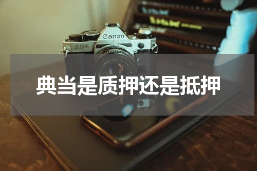 典当是质押还是抵押