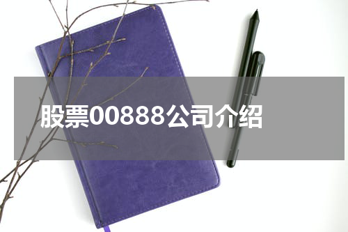 股票00888公司介绍