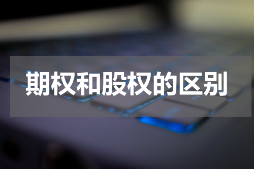 期权和股权的区别