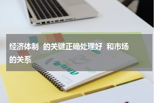 经济体制  的关键正确处理好  和市场的关系