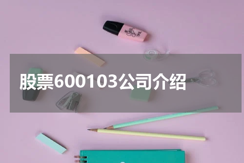股票600103公司介绍