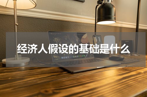 经济人假设的基础是什么