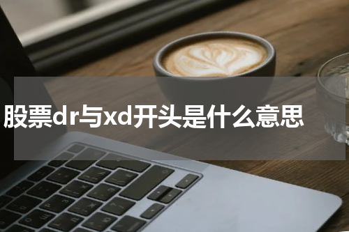 股票dr与xd开头是什么意思
