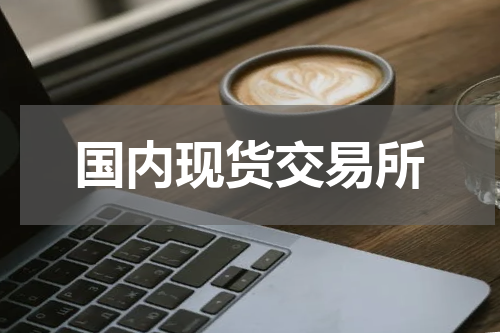 国内现货交易所
