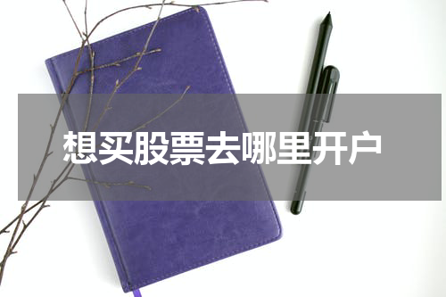 想买股票去哪里开户