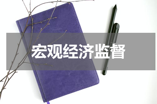 宏观经济监督