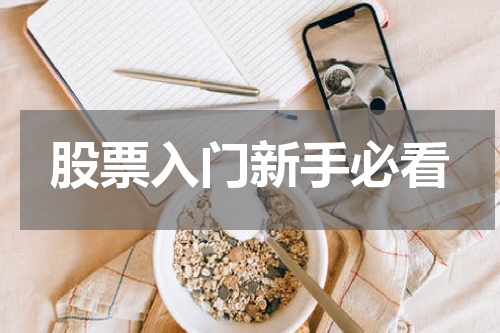 股票入门新手必看