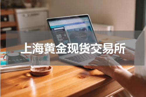 上海黄金现货交易所