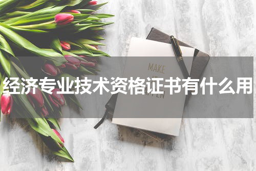 经济专业技术资格证书有什么用