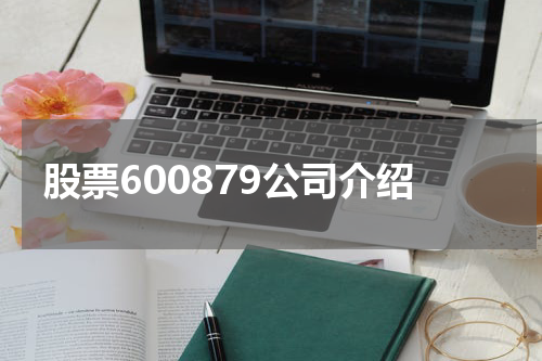 股票600879公司介绍