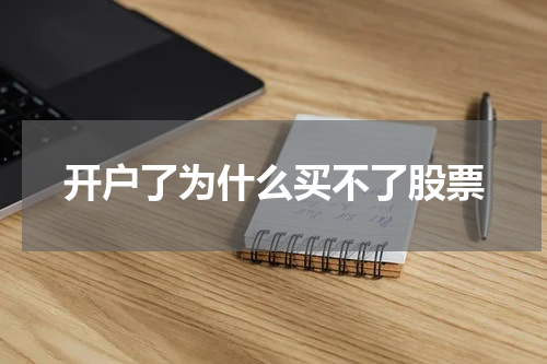 开户了为什么买不了股票