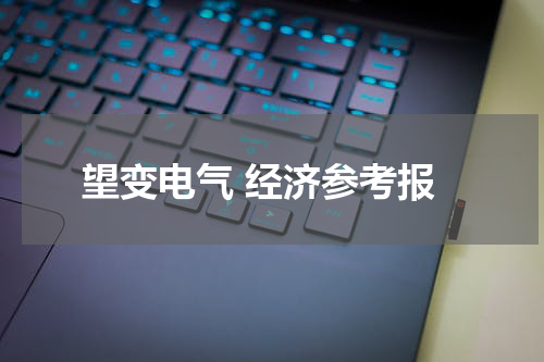 望变电气 经济参考报