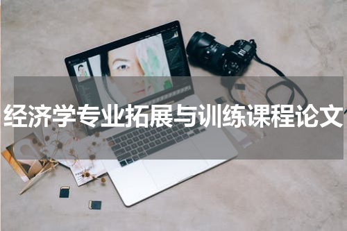 经济学专业拓展与训练课程论文