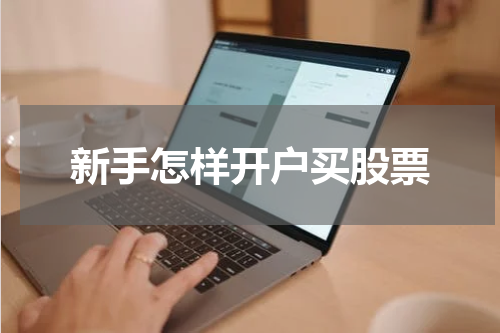 新手怎样开户买股票
