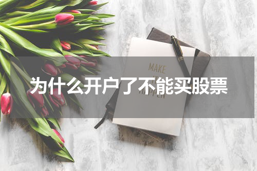 为什么开户了不能买股票