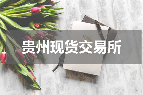 贵州现货交易所