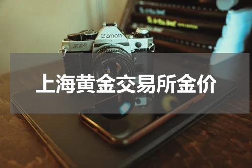 上海黄金交易所金价