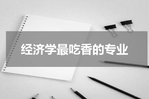 经济学最吃香的专业