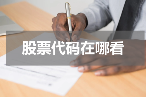 股票代码在哪看