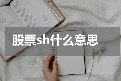 股票sh什么意思