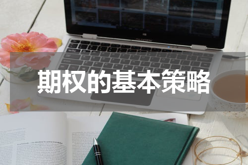 期权的基本策略