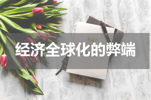 经济全球化的弊端