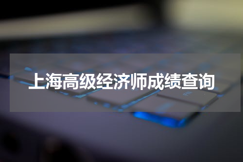 上海高级经济师成绩查询