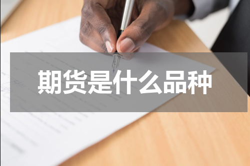 期货是什么品种