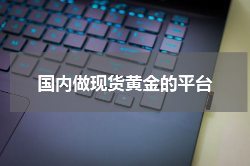 国内做现货黄金的平台