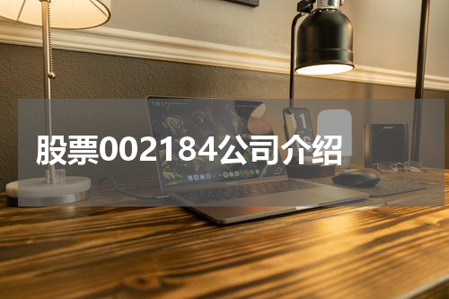 股票002184公司介绍