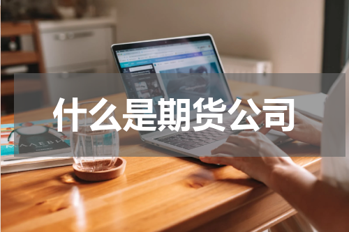 什么是期货公司