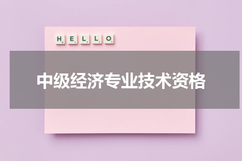 中级经济专业技术资格