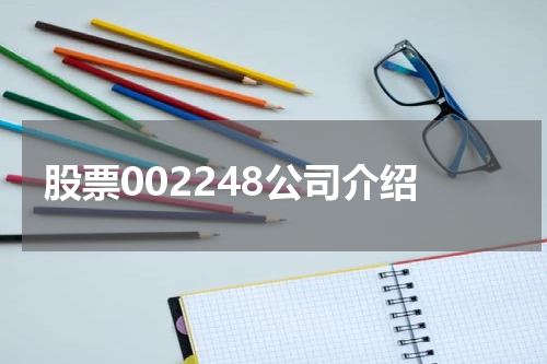 股票002248公司介绍