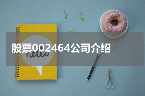 股票002464公司介绍