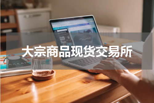 大宗商品现货交易所