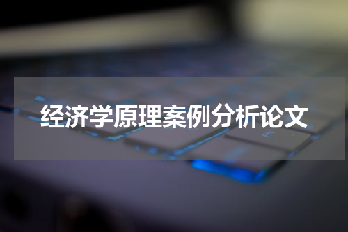 经济学原理案例分析论文