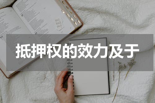 抵押权的效力及于