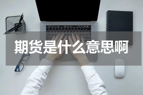 期货是什么意思啊