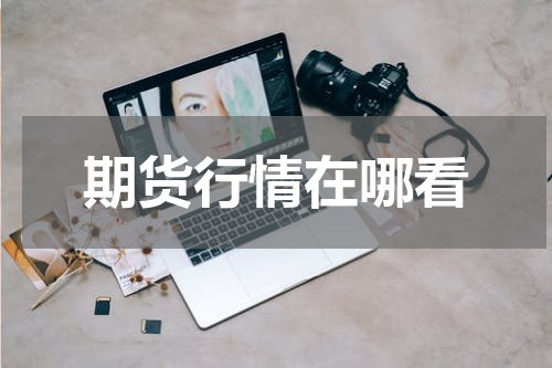 期货行情在哪看