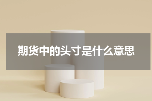 期货中的头寸是什么意思