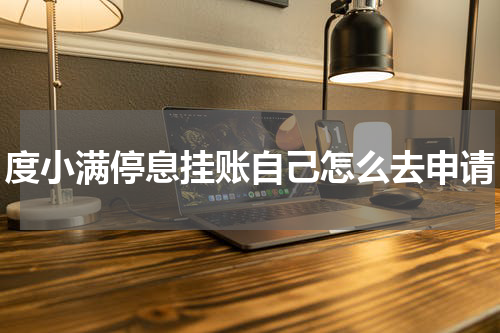 度小满停息挂账自己怎么去申请