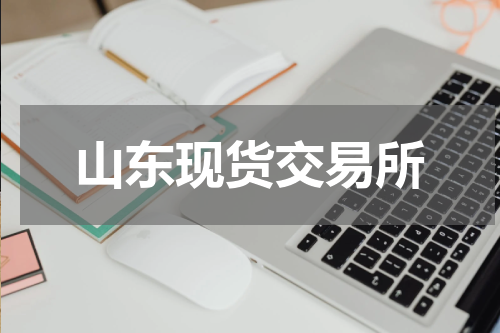 山东现货交易所