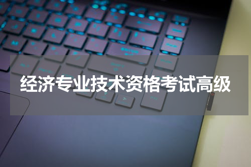 经济专业技术资格考试高级
