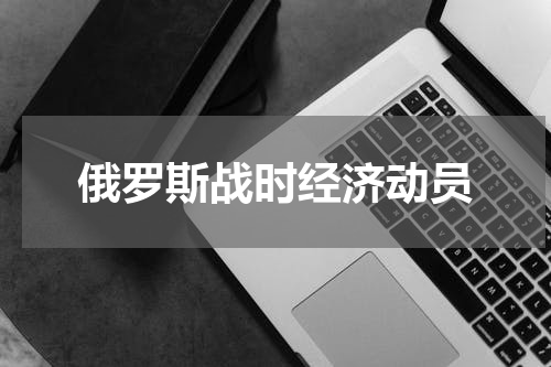 俄罗斯战时经济动员