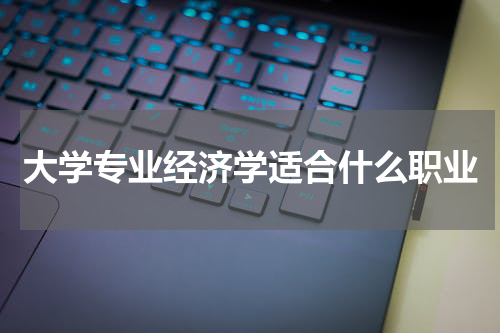 大学专业经济学适合什么职业
