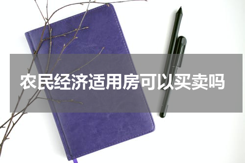 农民经济适用房可以买卖吗